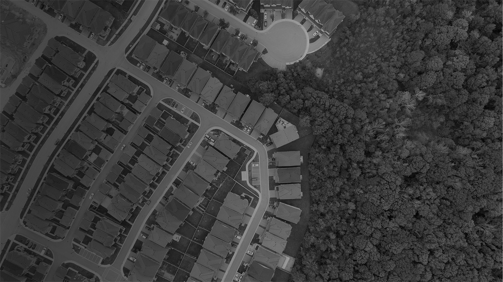 Aerial black-and-white view of a suburban neighborhood of houses meeting a dense forest