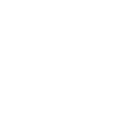 Acorn Next